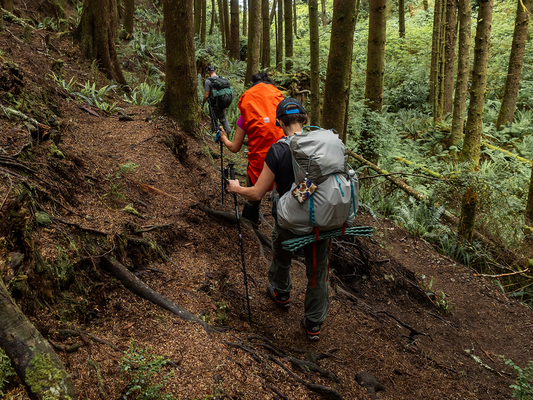 Trekking con sicurezza: i vantaggi dei bastoncini da trekking e come usarli